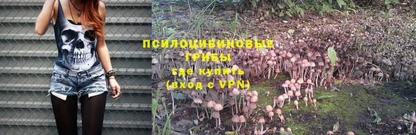 первитин Лагань