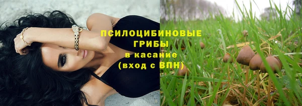 ешки Александровское
